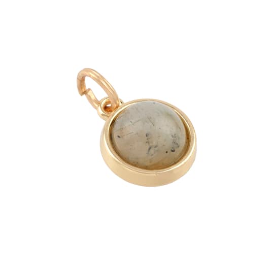 12 Pack: Round Labradorite Charm by Bead Landing™